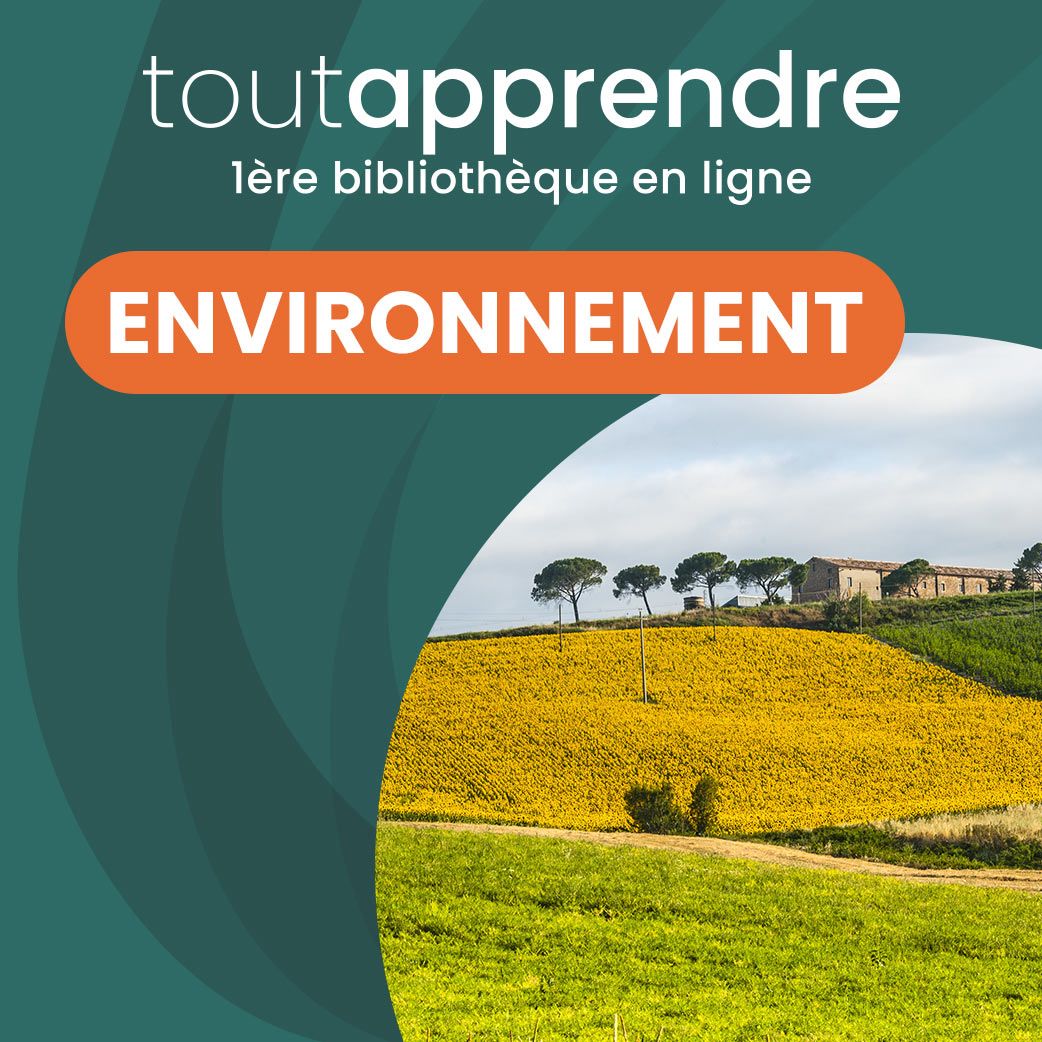 Ban 2025 ENVIRONNEMENT 1042x1042